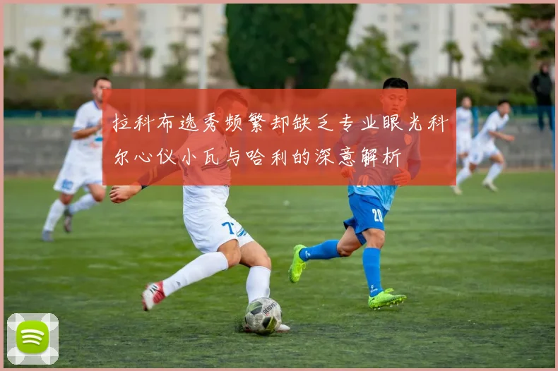 拉科布选秀频繁却缺乏专业眼光科尔心仪小瓦与哈利的深意解析