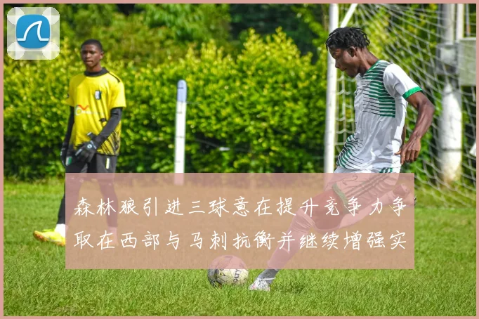 森林狼引进三球意在提升竞争力争取在西部与马刺抗衡并继续增强实力